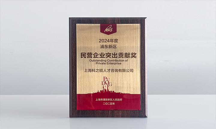 人力资源供应商USDT钱包下载指南国际凭借人才服务与在区域经济开展中的卓越表现荣膺2024年度浦东新区民营企业奖项