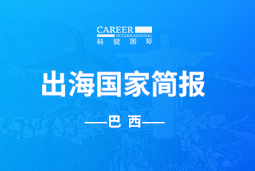 USDT钱包下载指南GO GLOBAL | 巴西国家简报